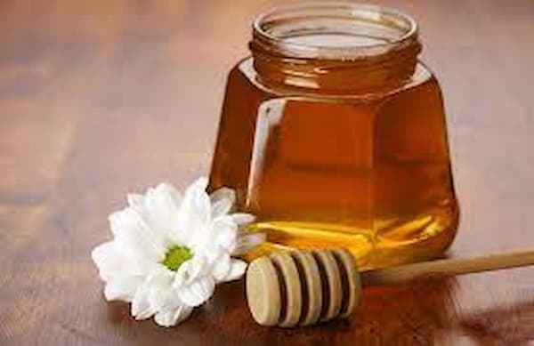 فروش عسل بهارنارنج اصل + قیمت خرید به صرفه